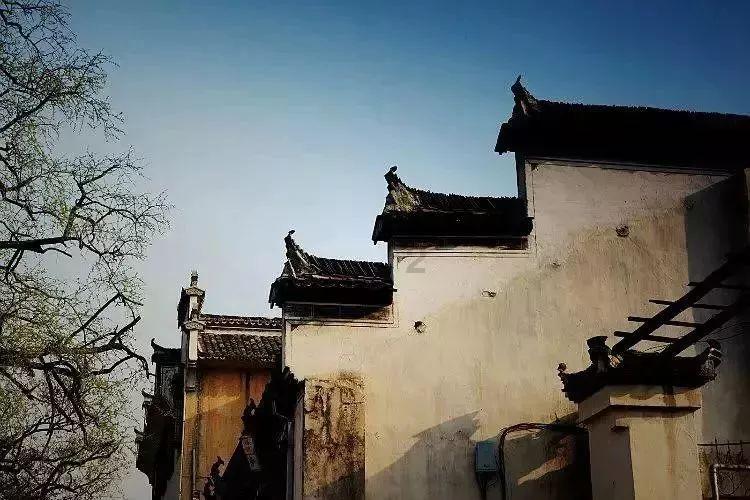 《年会不能停》戏外笑到喷饭,大鹏爆改古装美男、白客研读ABO...